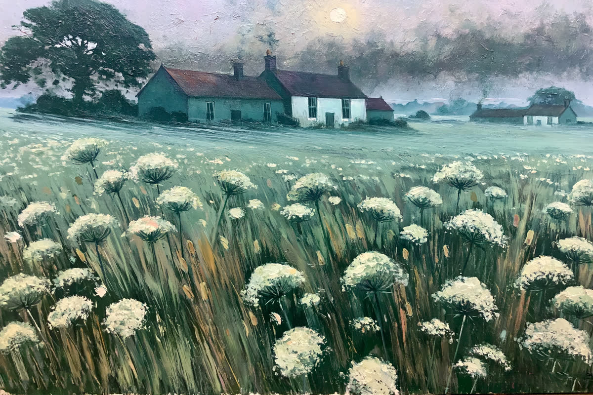 Meadow Light (1)