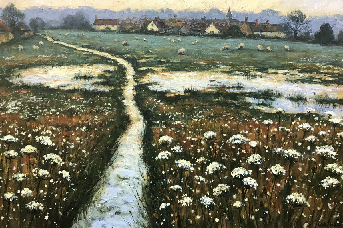 Meadow Light (5)