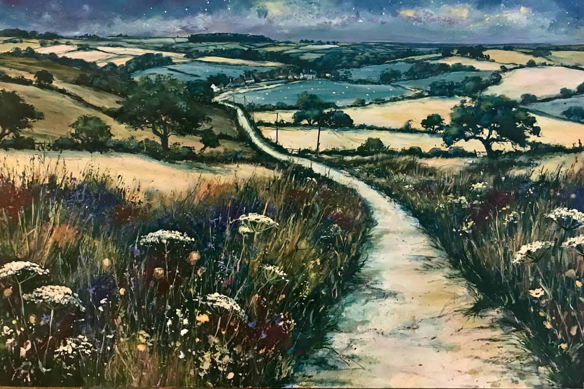 Meadow Light (6)