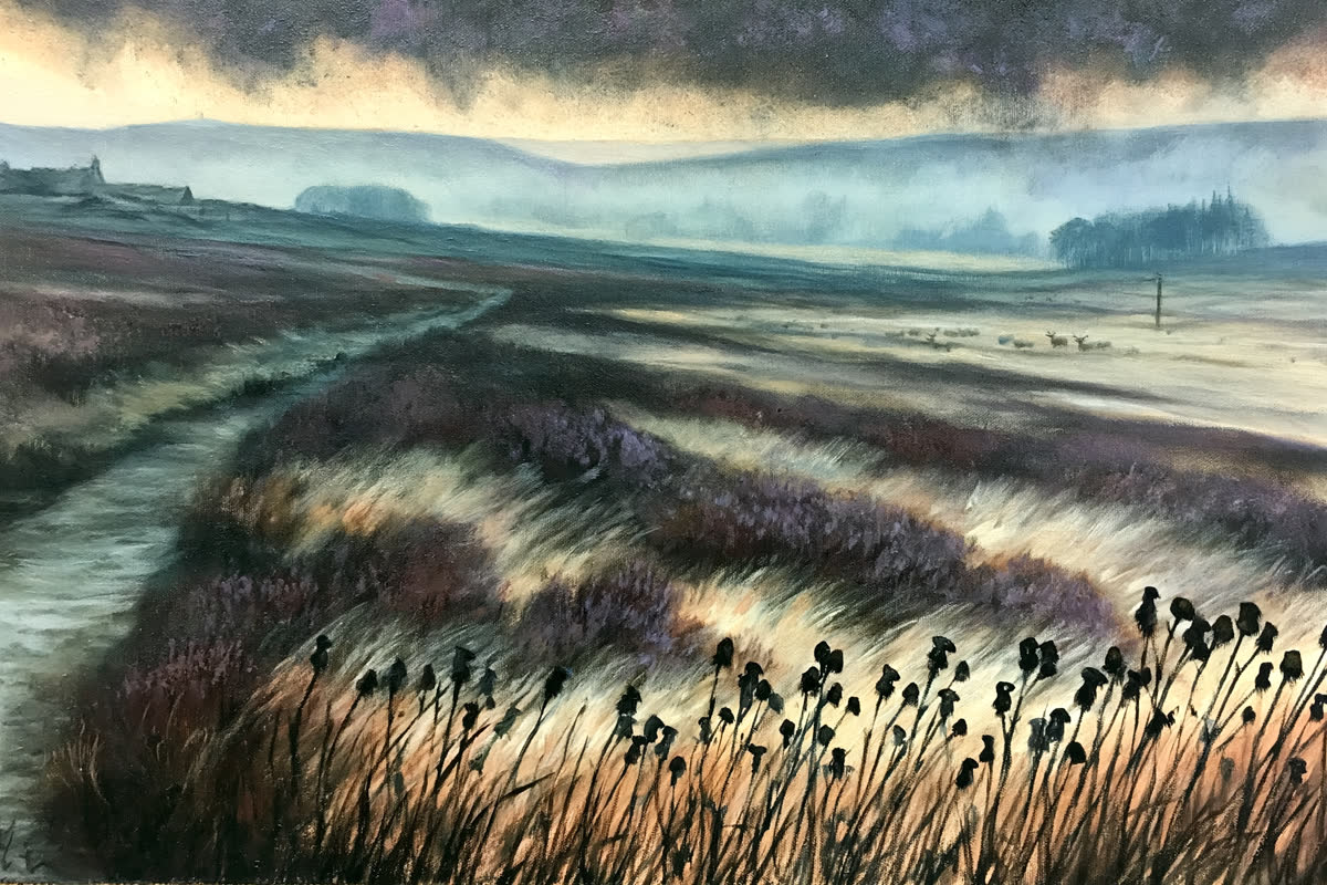 Moorland Skies (1)