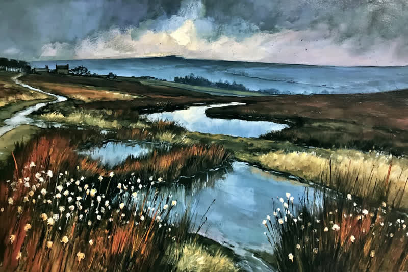 Moorland Skies (11)