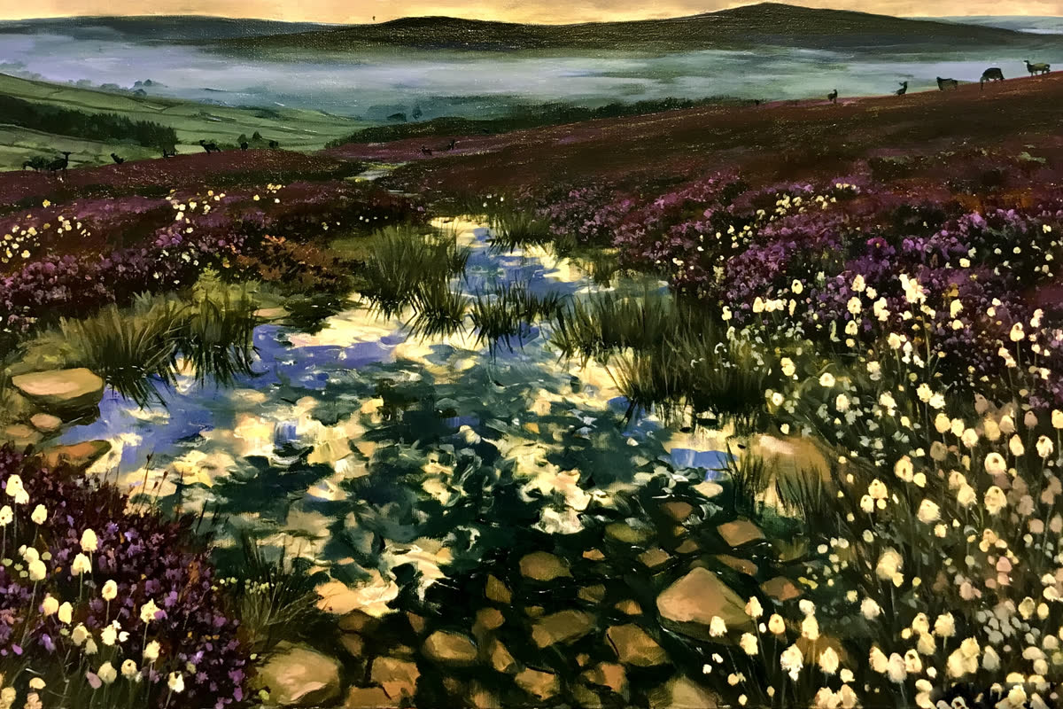 Moorland Skies (2)