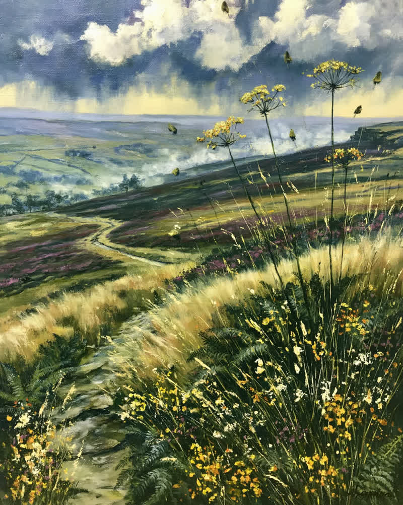 Moorland Skies (7)
