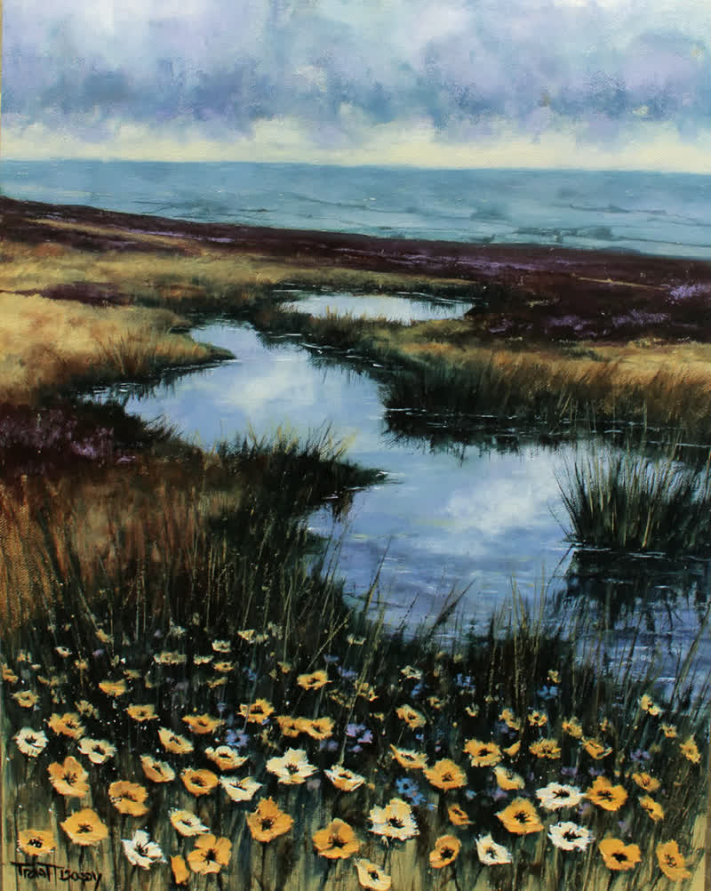Moorland Skies (8)